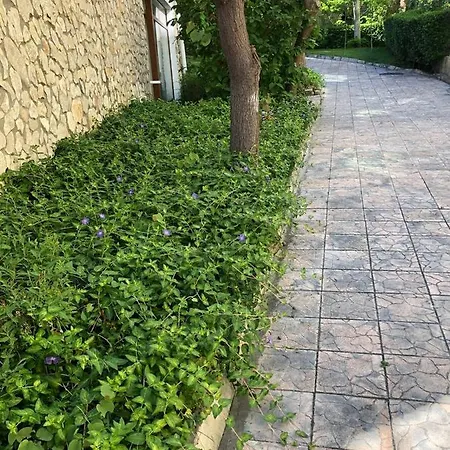 Elenite - - Messambria - 1-bed Vladimir Apartamento *